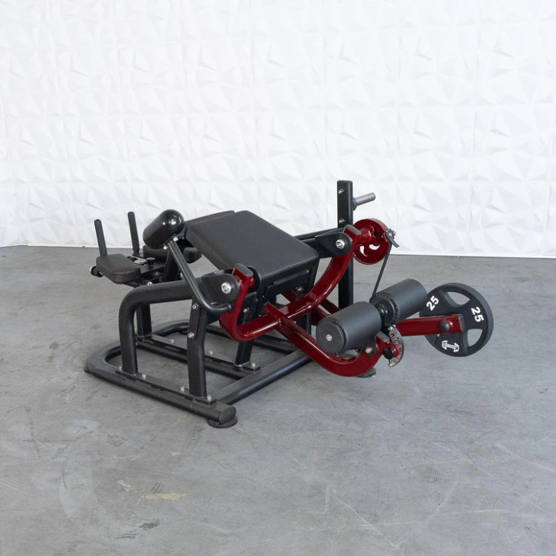 Muscle D Fitness Pro Strength Prone Leg Curl