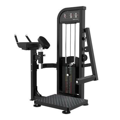 Muscle D Fitness Excel Glute Machine