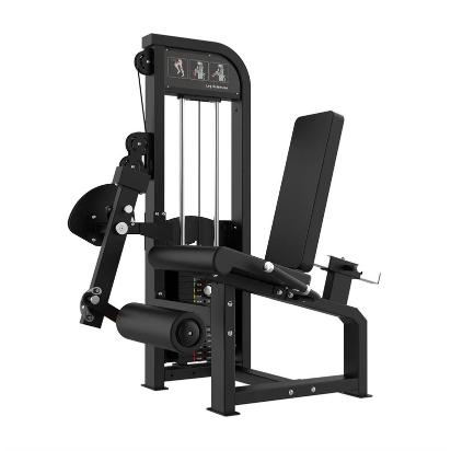Muscle D Fitness Excel Seated Leg Extension