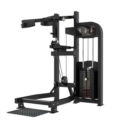 Muscle D Fitness Excel Standing Calf