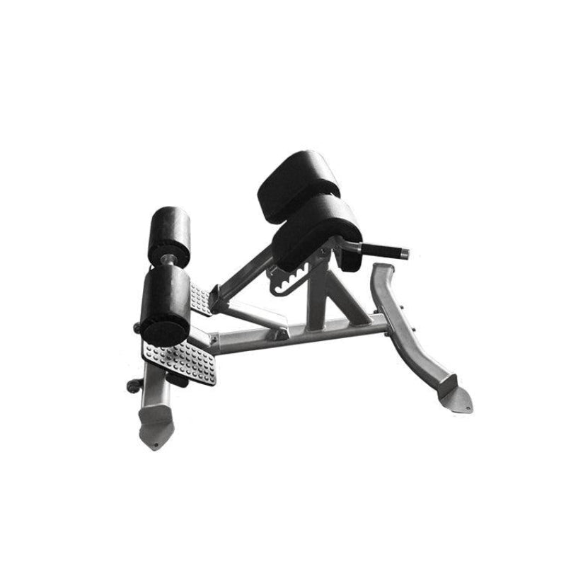 Muscle D Fitness Back Extension Bench