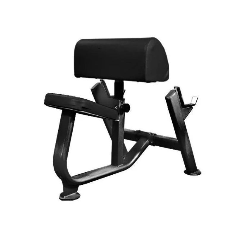 Muscle D Fitness Preachers Curl Bench